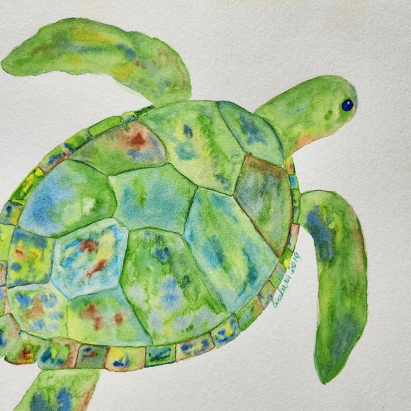 Turtle Watercolor Painting Original 9x12 Handmade Watercolor Paper - Picture 3 of 5